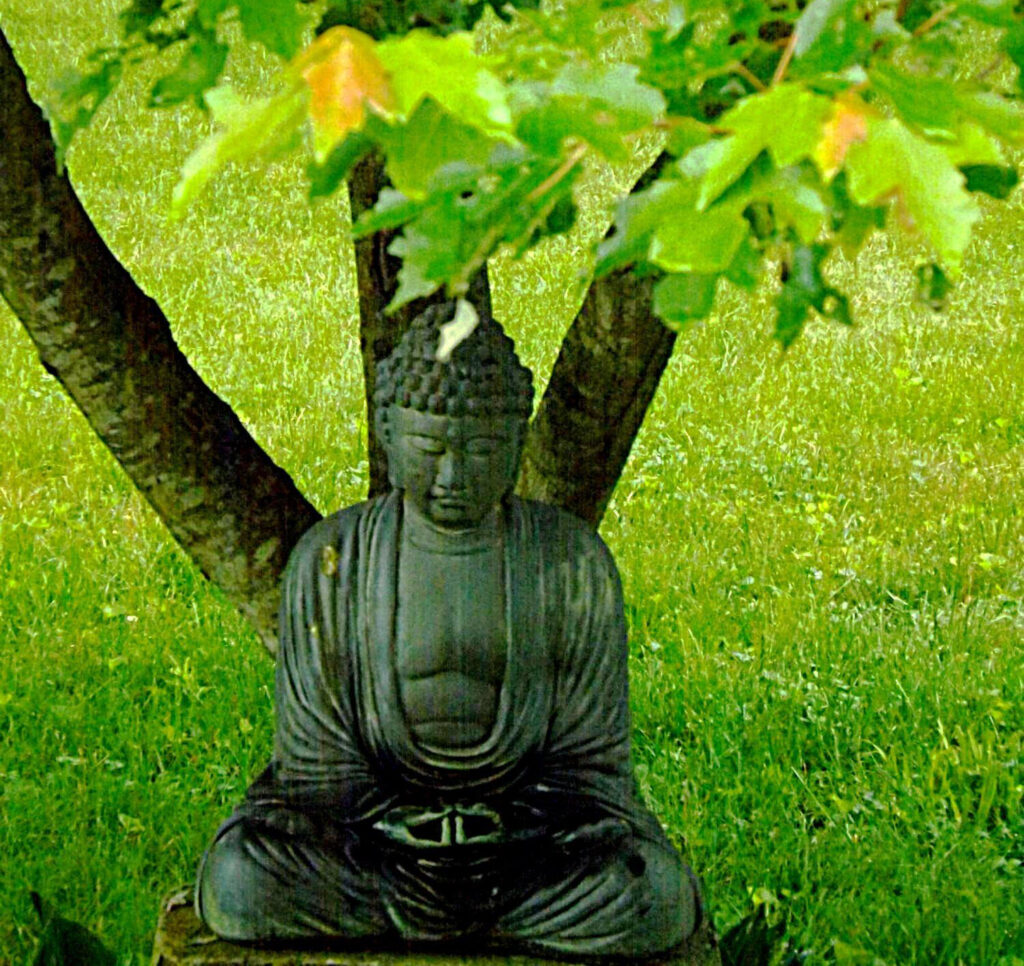 Spring Buddha