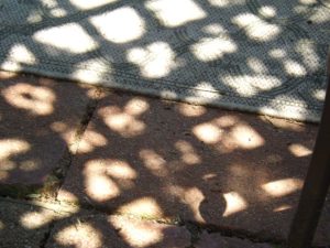 Knotted shadows